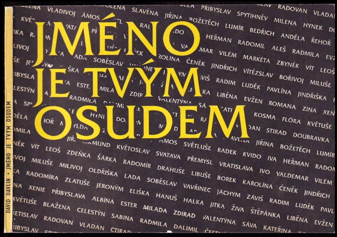 Jméno je tvým osudem (David Davlin, 1992)