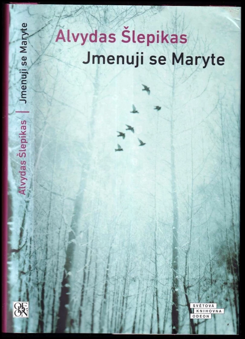 Jmenuji se Maryte (Alvydas Šlepikas, 2020)