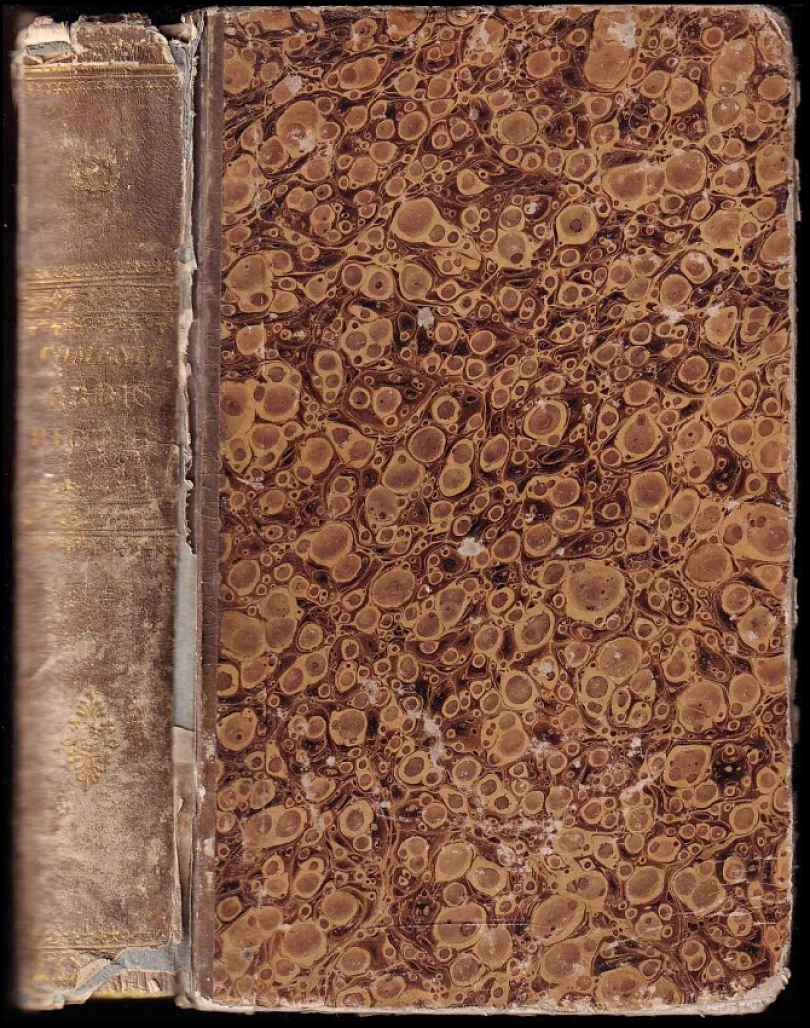 Levně Joan Amos Comenii Orbis pictus (Jan Amos Komenský, 1833)