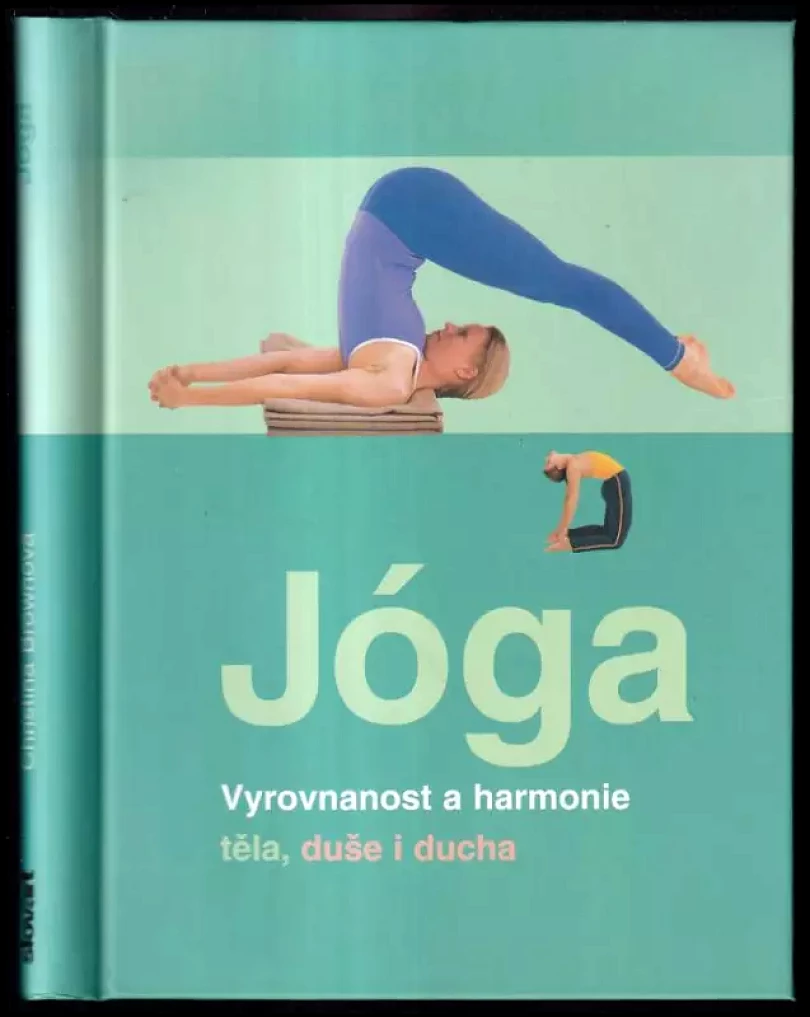 Levně Jóga (Christina Brown, 2007)