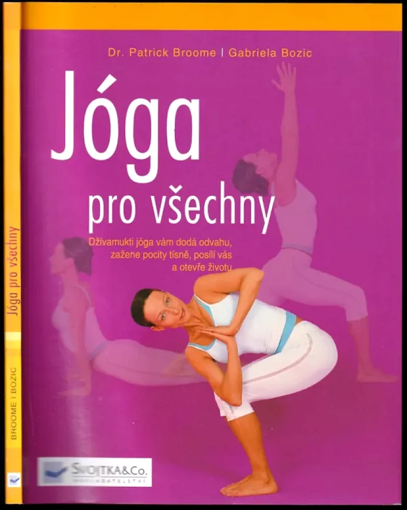 Levně Jóga pro všechny (Patrick Broome, 2008)