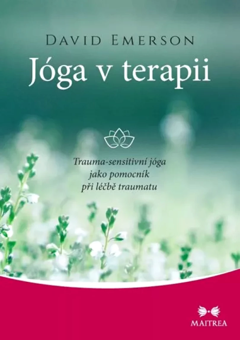 Jóga v terapii (David Emerson, 2019)