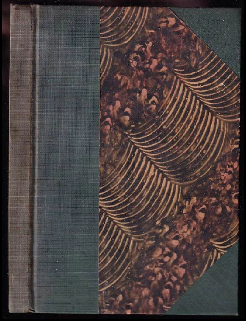 Levně Josef Holeček (Jan Voborník, 1913)