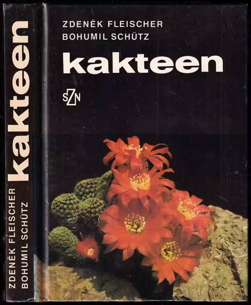 Kakteen (Zdeněk Fleischer, 1989)