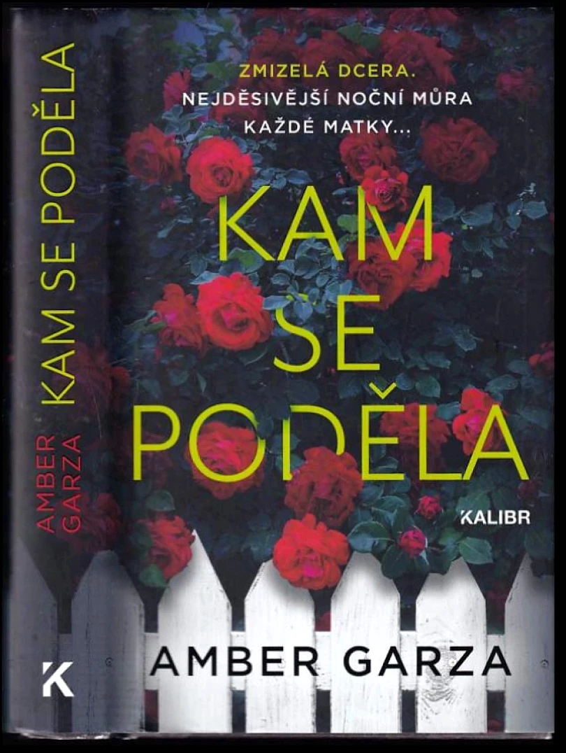 Levně Kam se poděla (Amber Garza, 2023)