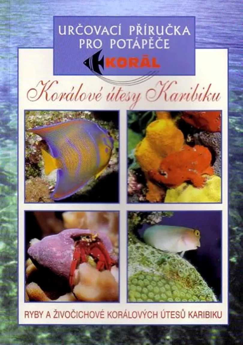 Levně Karibské moře (Elizabeth Wood, 2004)
