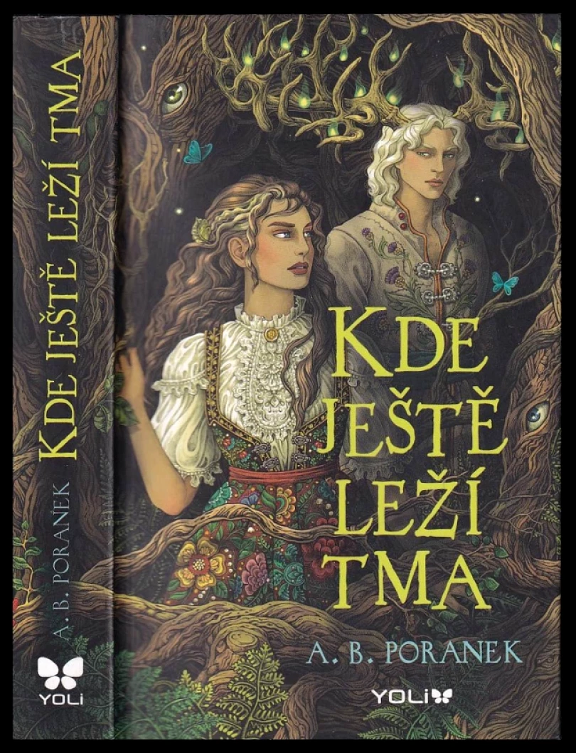 Kde ještě leží tma (A. Poranek, 2025)