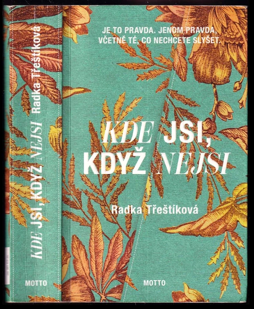 Levně Kde jsi, když nejsi (Radka Třeštíková, 2023)