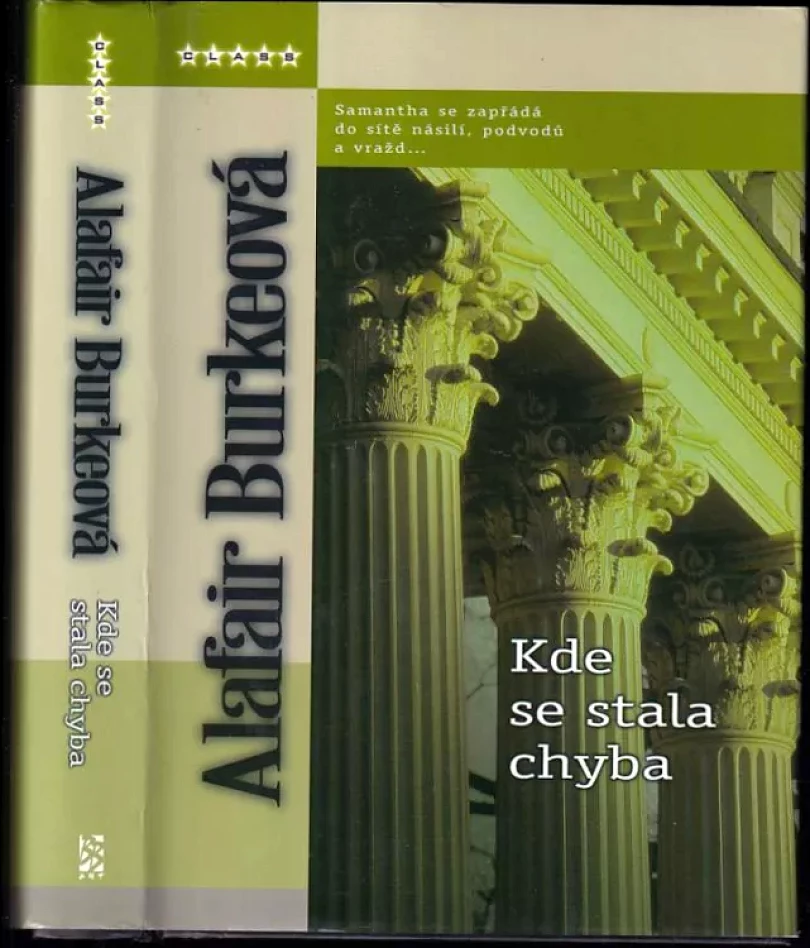 Kde se stala chyba (Alafair Burke, 2005)