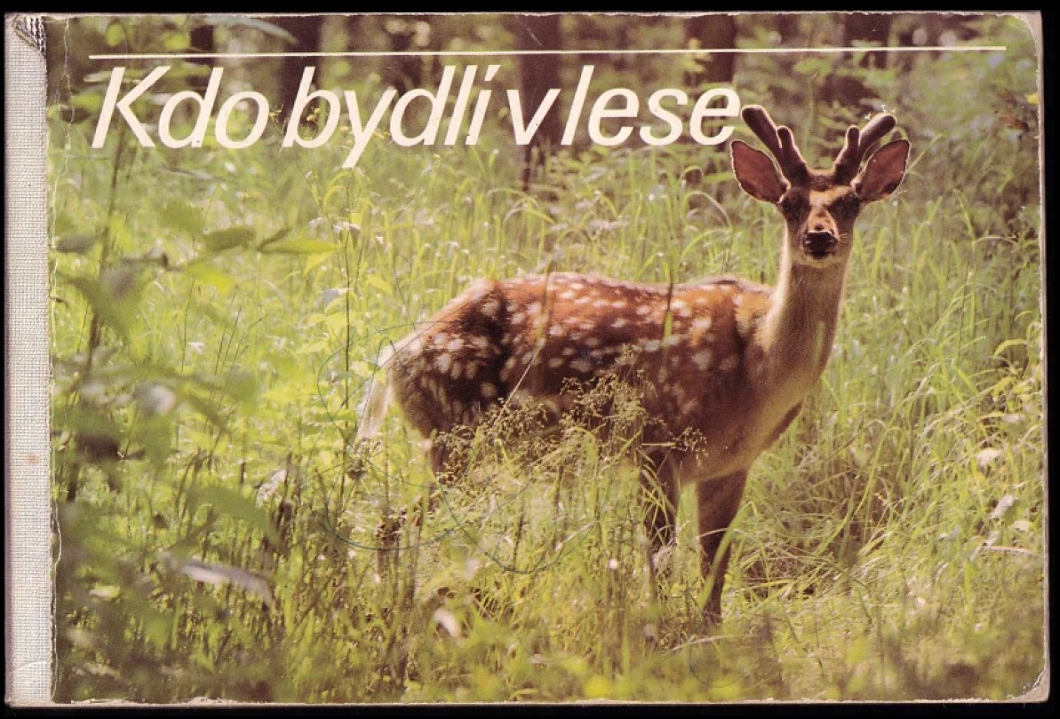 Levně Kdo bydlí v lese (Július Kontár, 1989)