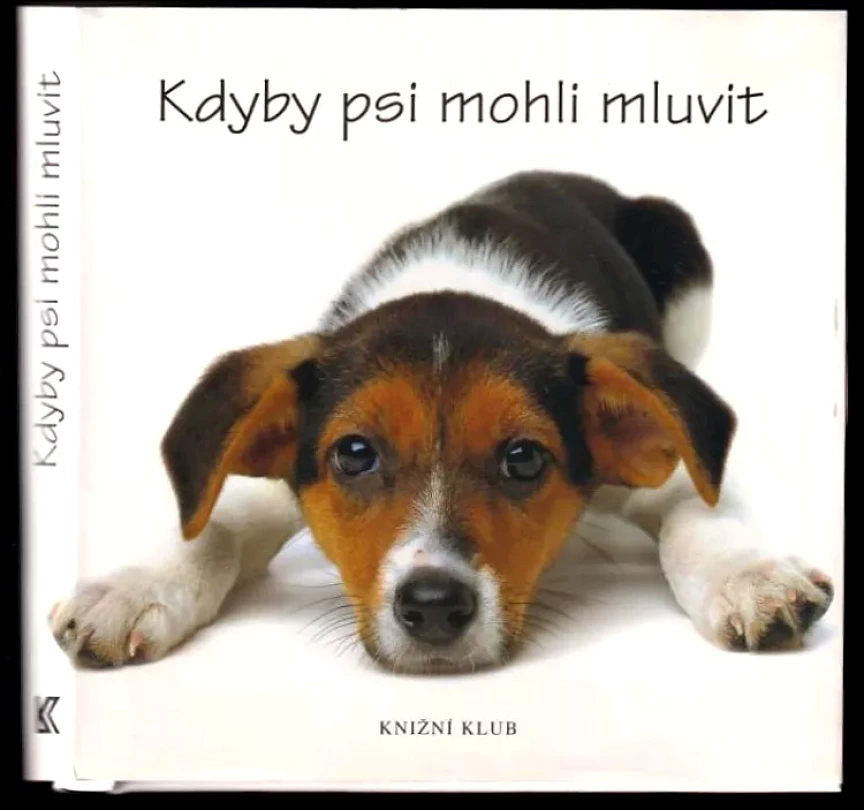 Kdyby psi mohli mluvit (Joel Zadak, 2008)