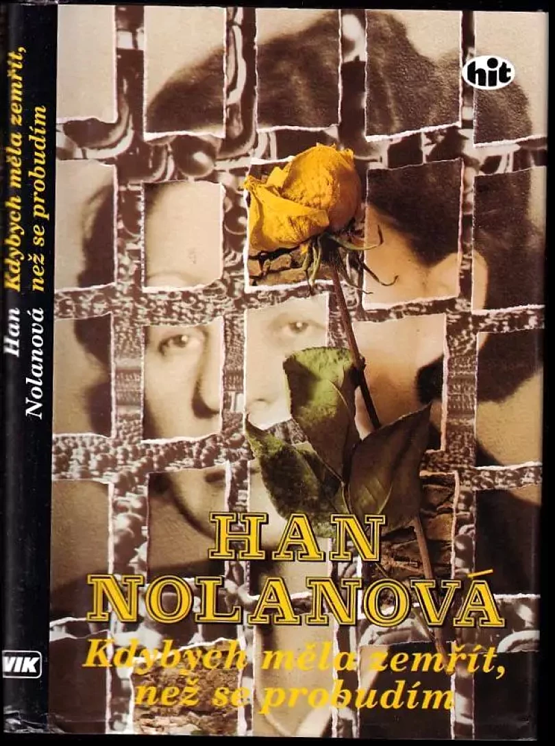 Kdybych měla zemřít, než se probudím (Han Nolan, 1995)