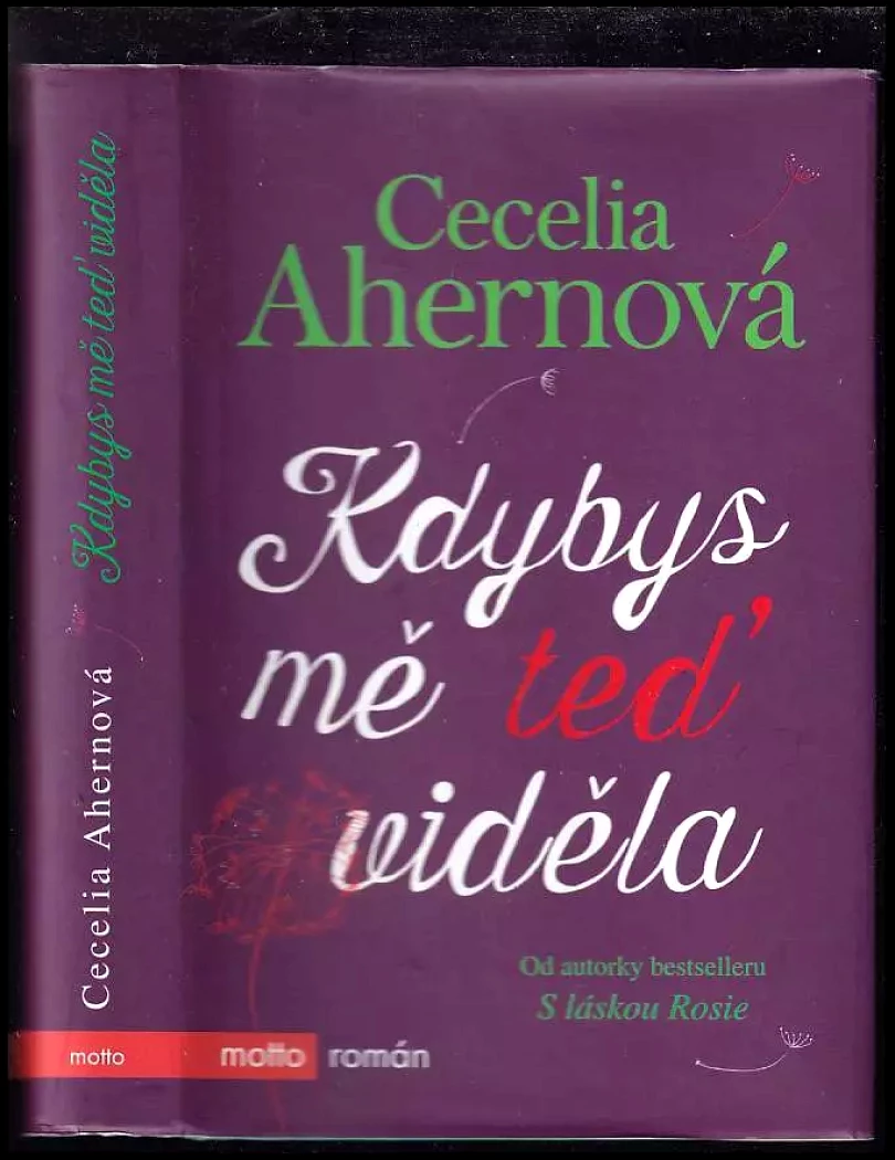 Levně Kdybys mě teď viděla (Cecelia Ahern, 2015)