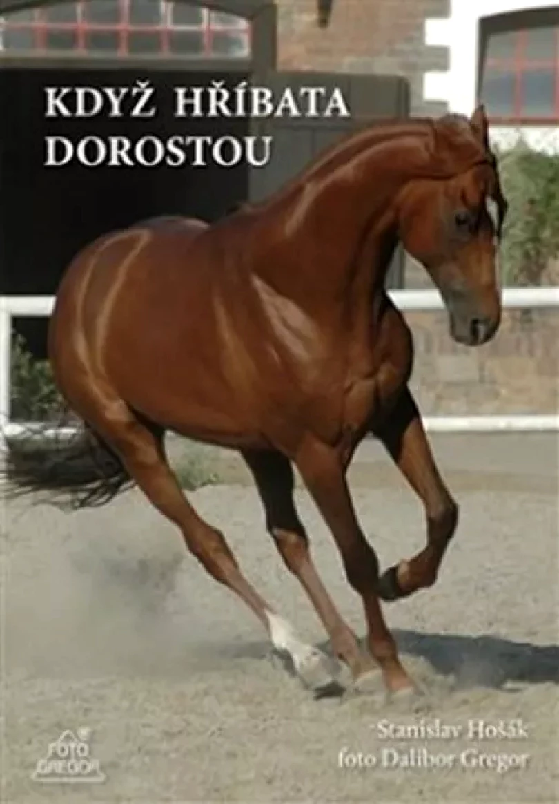 Levně Když hříbata dorostou (Stanislav Hošák, 2009)