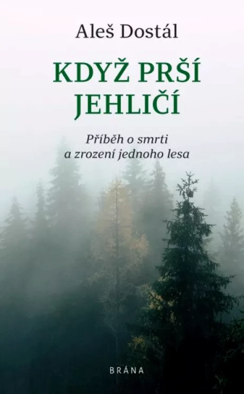 Když prší jehličí (Aleš Dostál, 2021)
