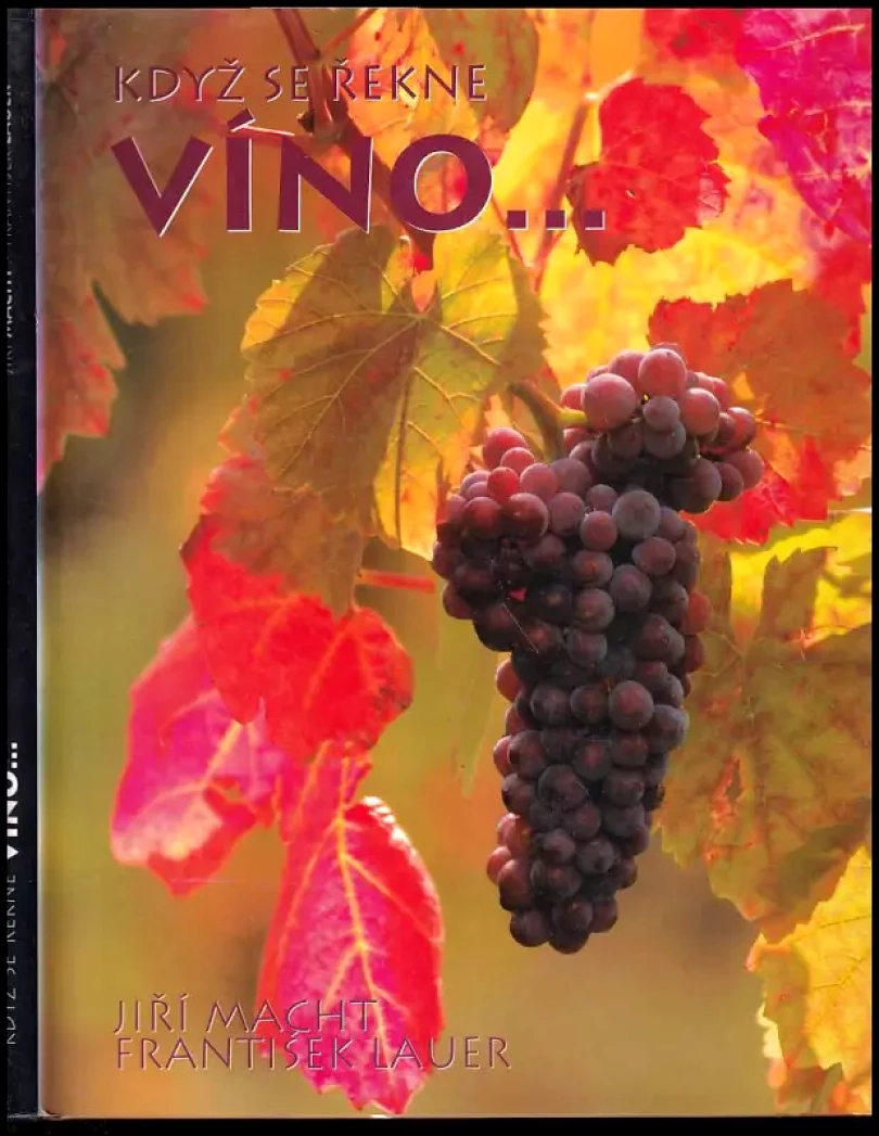 Když se řekne víno… (Jiří Macht, 2004)