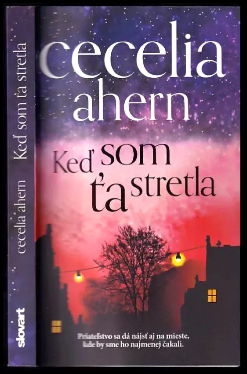 Levně Keď som ťa stretla (Cecelia Ahern, 2015)