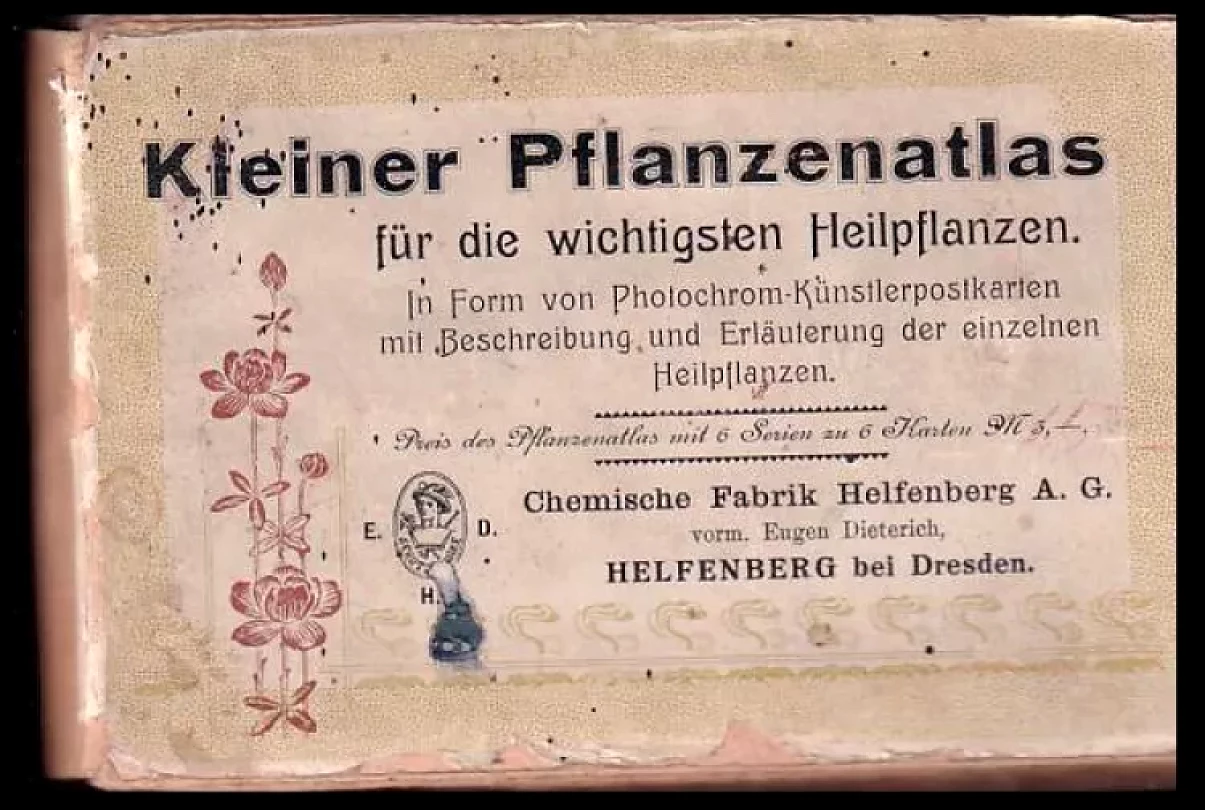 Kleiner Pflanzenatlas für die wichtigsten Heilpflanzen (, )