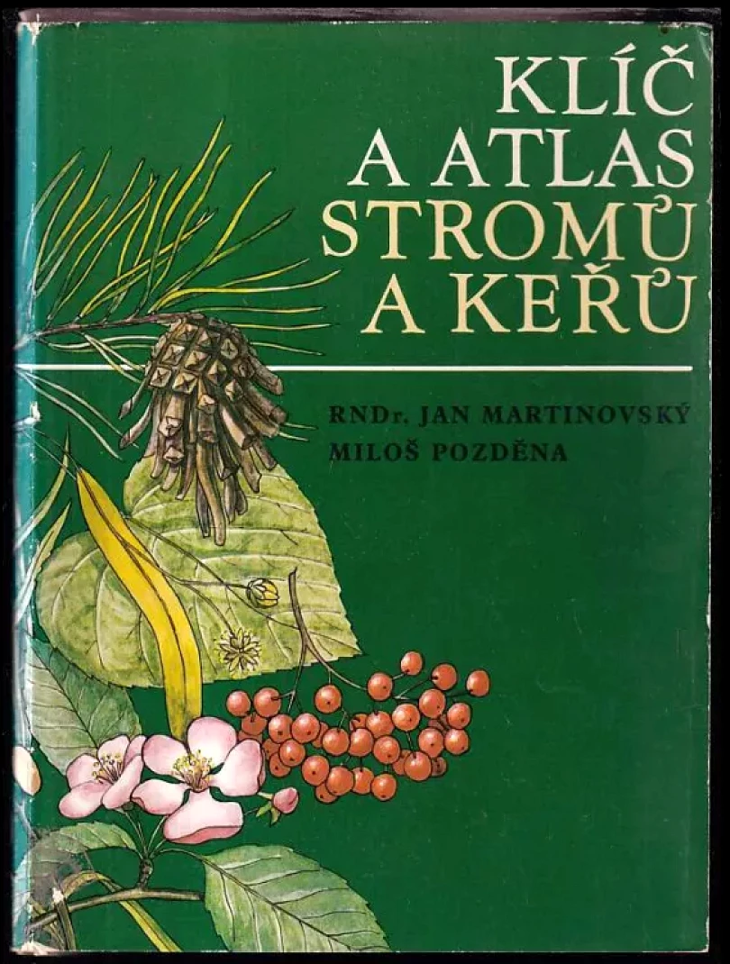 Levně Klíč stromů a keřů (Jan Martinovský, 1989)