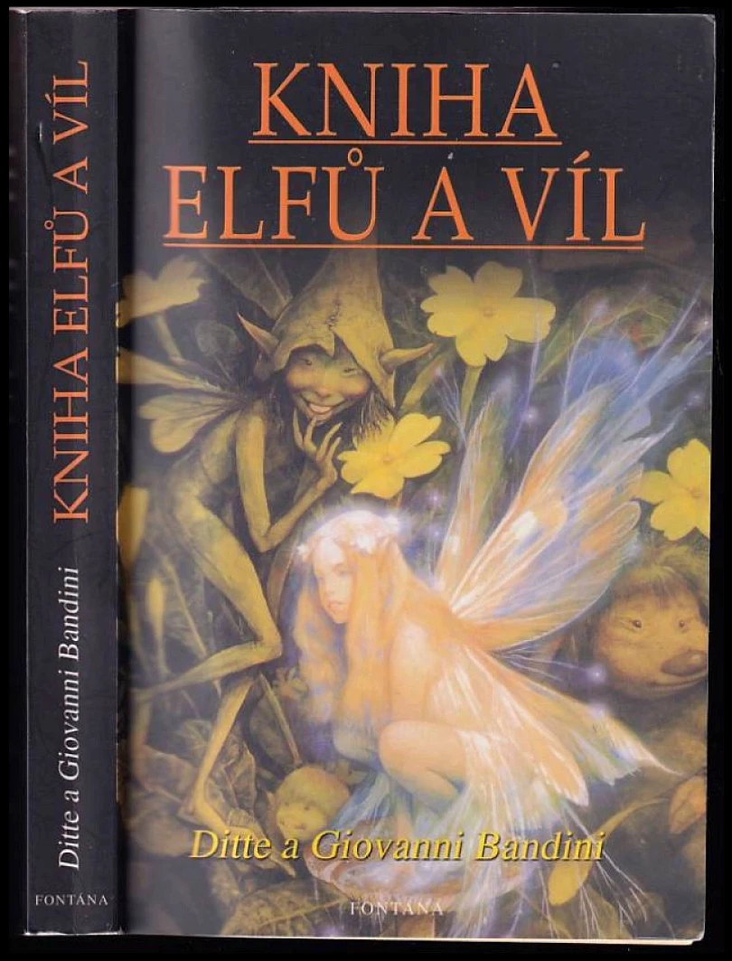 Levně Kniha elfů a víl (Ditte Bandini, 2005)