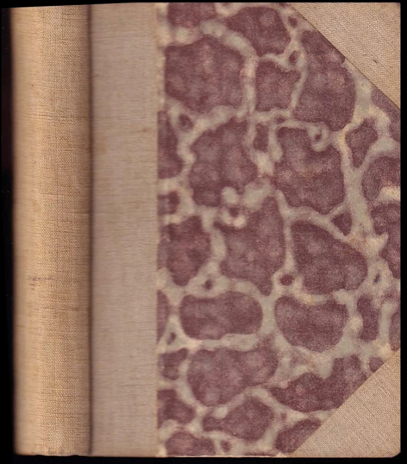 Levně Knut Hamsun - DVĚ DÍLA V JEDNOM SVAZKU: Hlad + Pan (Knut Hamsun, 1925)