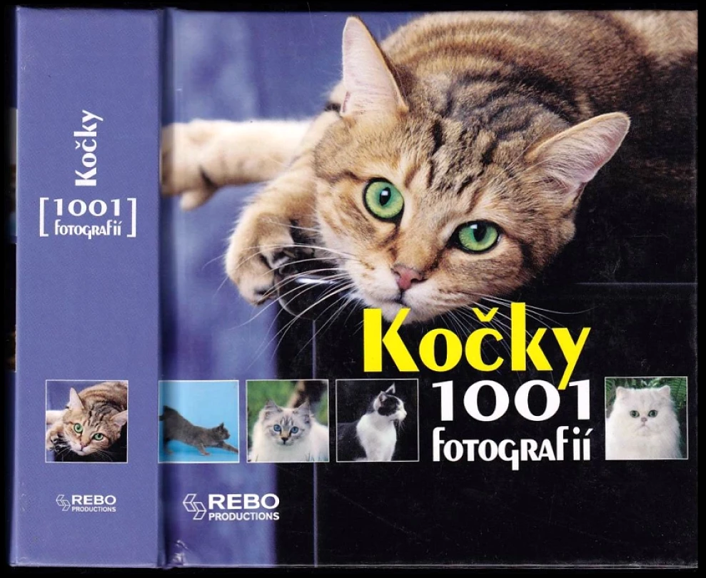 Kočky (Yann Susic, 2007)