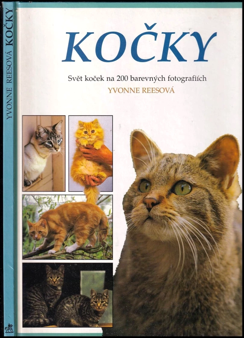 Kočky (Yvonne Rees, 1996)