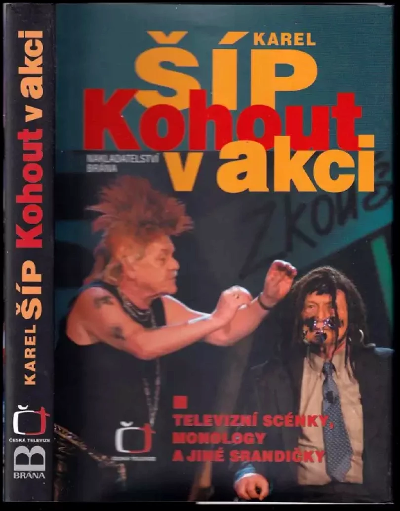 Kohout v akci (Karel Šíp, 2008)