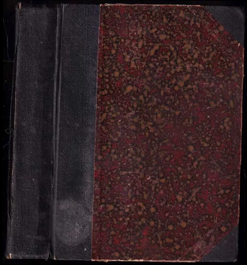 Levně KOMPLET 2X Červené kamelie + Šílená láska V JEDNOM SVAZKU (Otakar Filip, 1901)