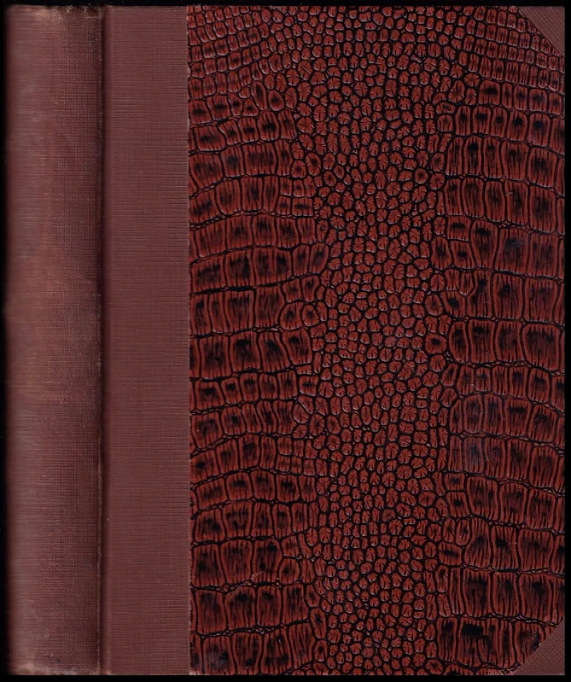 Levně Případ advokáta Chadwicka + Divná hra osudu V JEDNOM SVAZKU (Friedrich Gerstäcker, 1926)