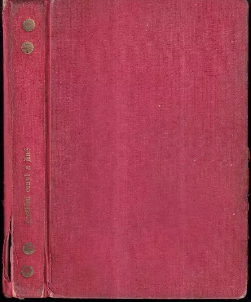 Levně 4x Ženský románek: Justiční omyl + Ženy zhanobené - román statečné ženy + Hrdá švadlenka + Neznámá sokyně (Adolphe Bélot, 1926)