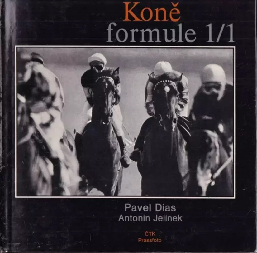 Koně formule 1/1 (Pavel Dias, 1983)