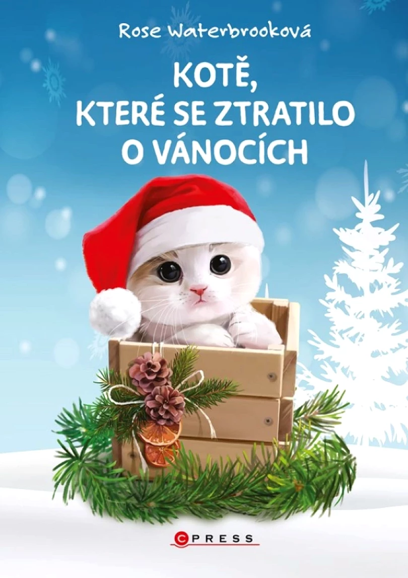 Levně Kotě, které se ztratilo o Vánocích (Rose Waterbrook, 2025)