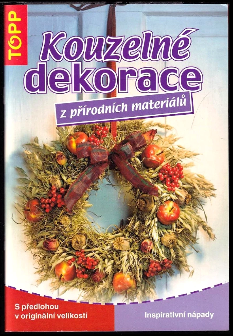 Levně Kouzelné dekorace z přírodních materiálů (Gudrun Kaenders, 2007)