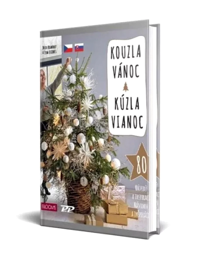 Kouzla Vánoc (Julia Bramhof,, 2020)