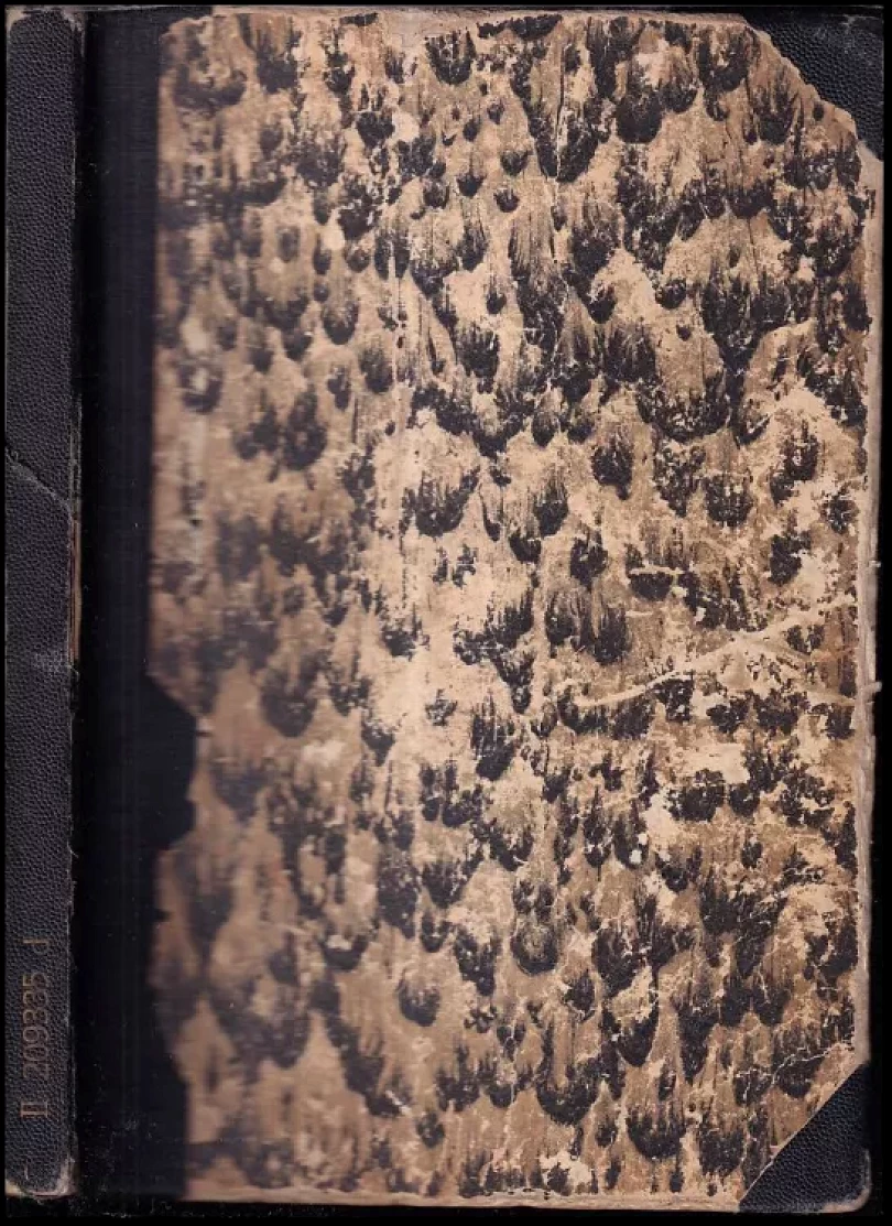 Levně Kovové a dřevěné konstrukce (Tomáš Dvořák, 1964)