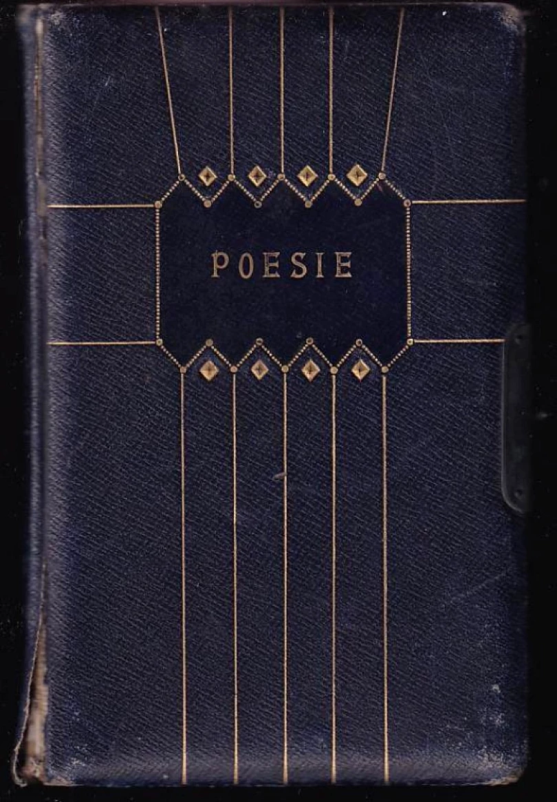 Kožený památníček z roku 1933 (, 1933)