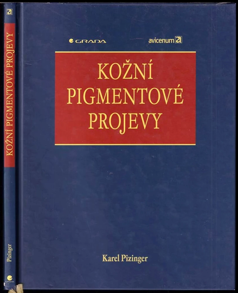 Kožní pigmentové projevy (Karel Pizinger, 2003)