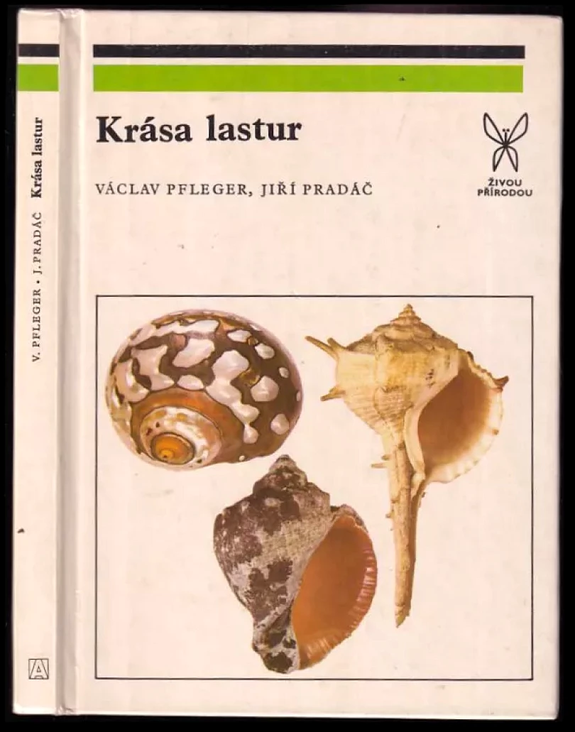 Krása lastur (Václav Pfleger, 1981)