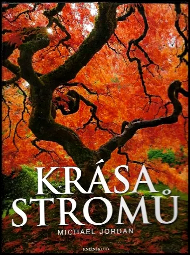 Krása stromů (Michael Jordan, 2013)