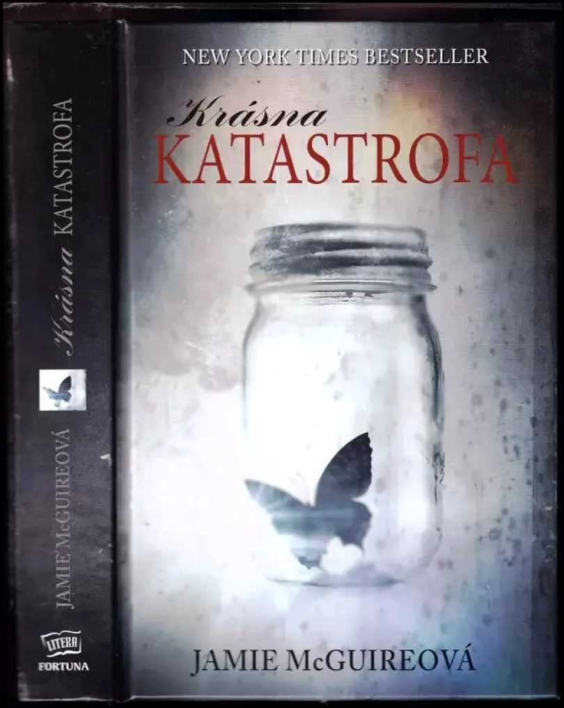 Levně Krásná katastrofa (Jamie McGuire, 2013)