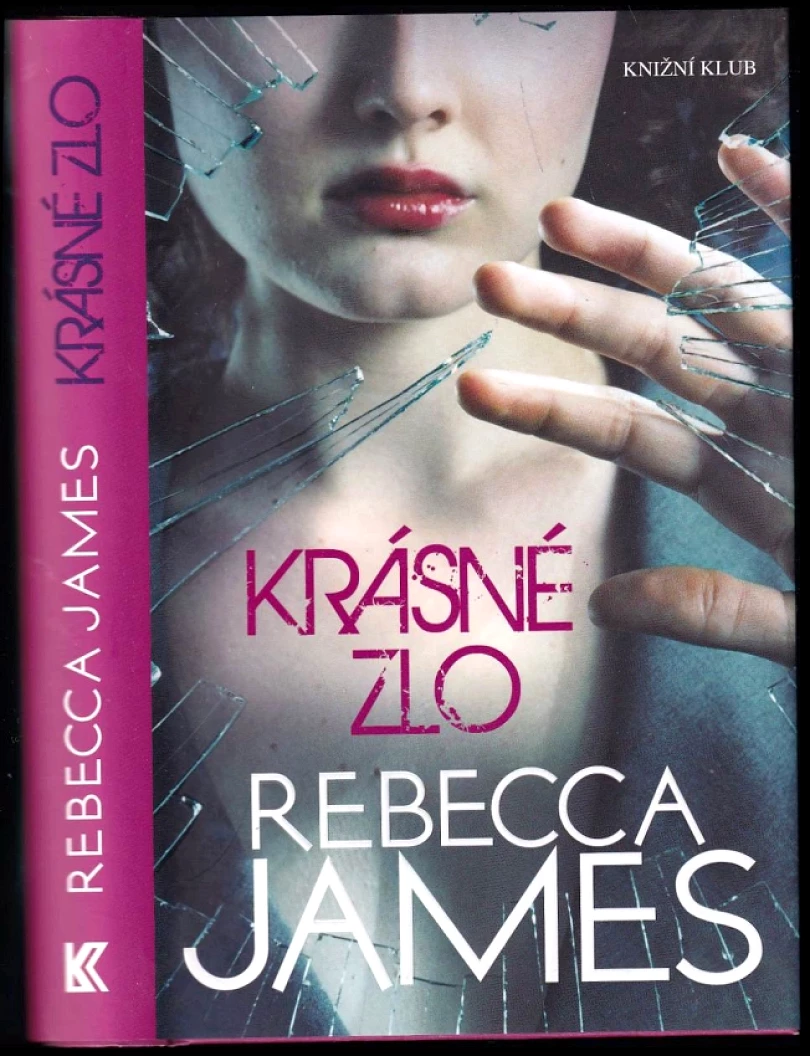 Levně Krásné zlo (Rebecca James, 2010)