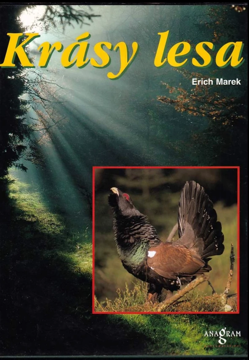 Krásy lesa (Werner Stoll, 1999)
