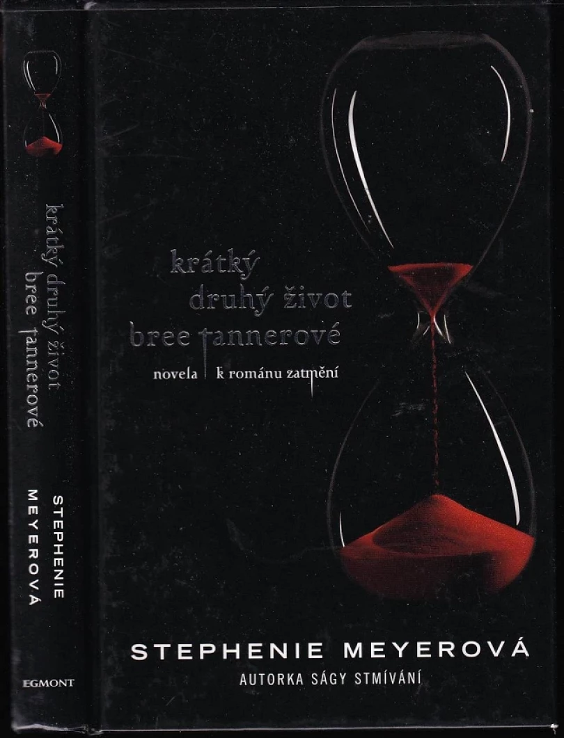 Levně Krátký druhý život Bree Tannerové (Stephenie Meyer, 2010)