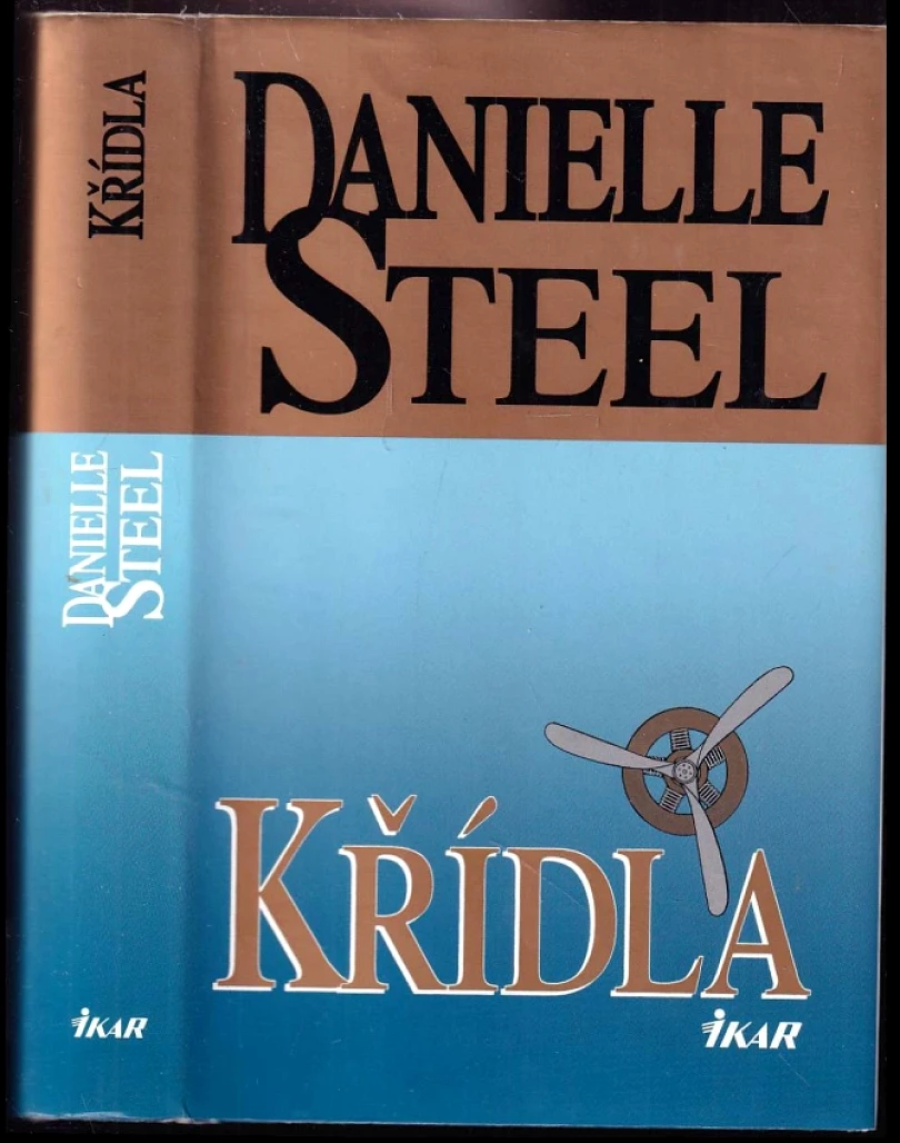 Levně Křídla (Danielle Steel, 1998)