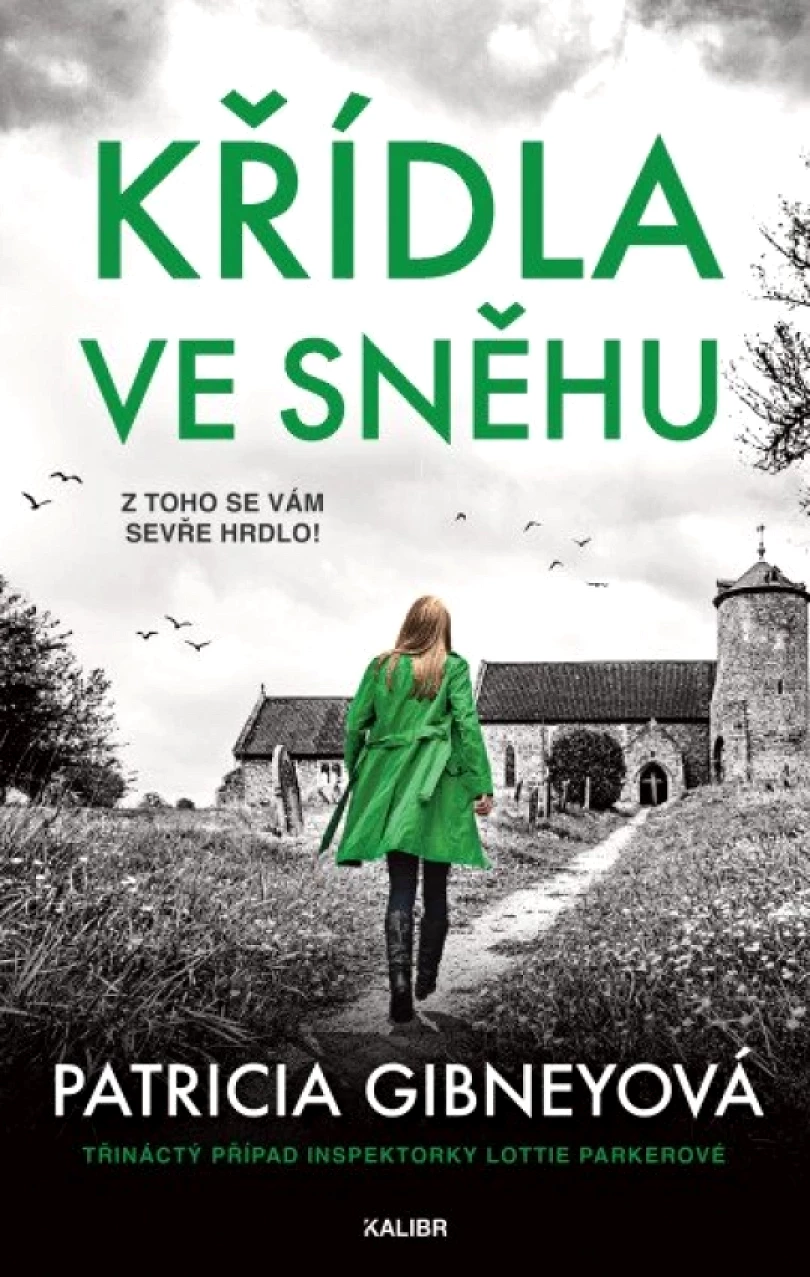 Levně Křídla ve sněhu (Patricia Gibney, 2026)