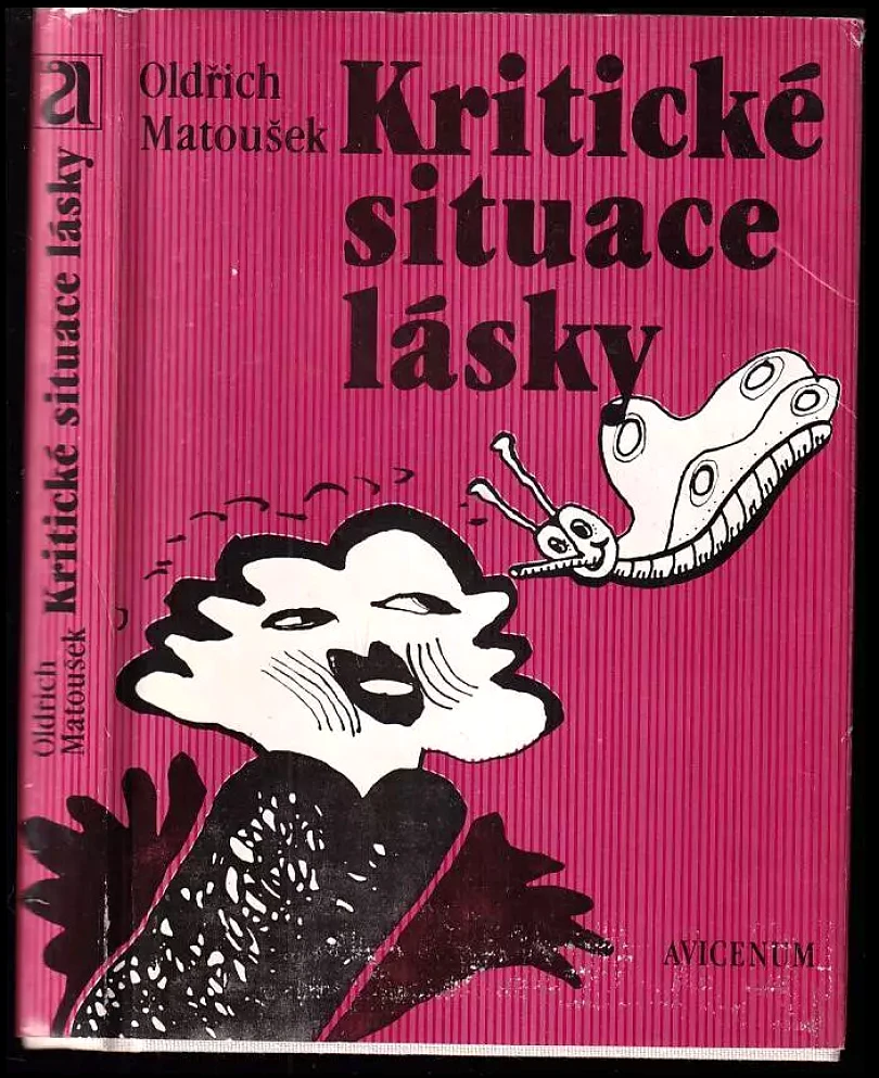 Kritické situace lásky (Oldřich Matoušek, 1987)