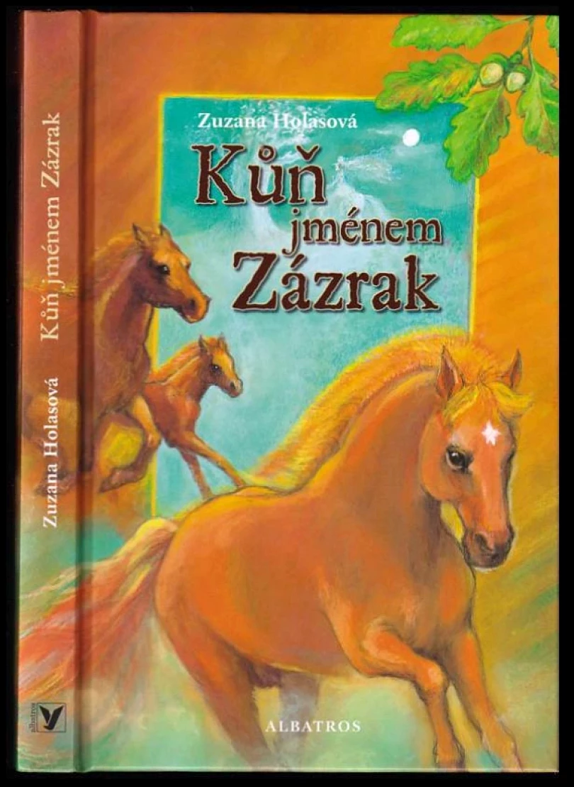 Kůň jménem Zázrak (Zuzana Holasová, 2008)