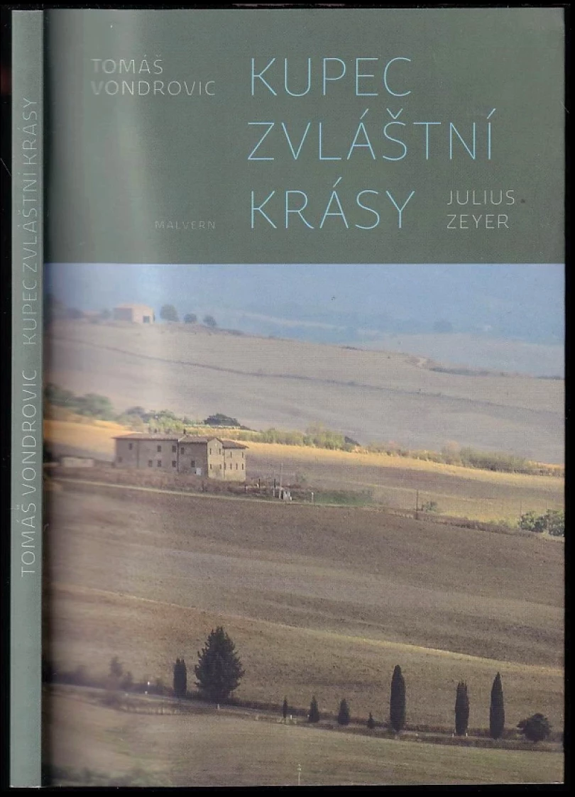 Kupec zvláštní krásy (Tomáš Vondrovic, 2018)