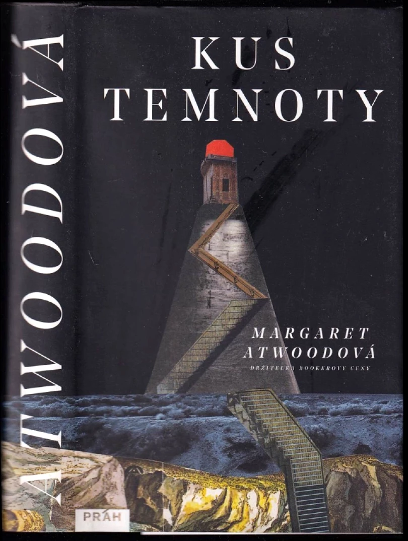 Levně Kus temnoty (Margaret Eleanor Atwood, 2017)